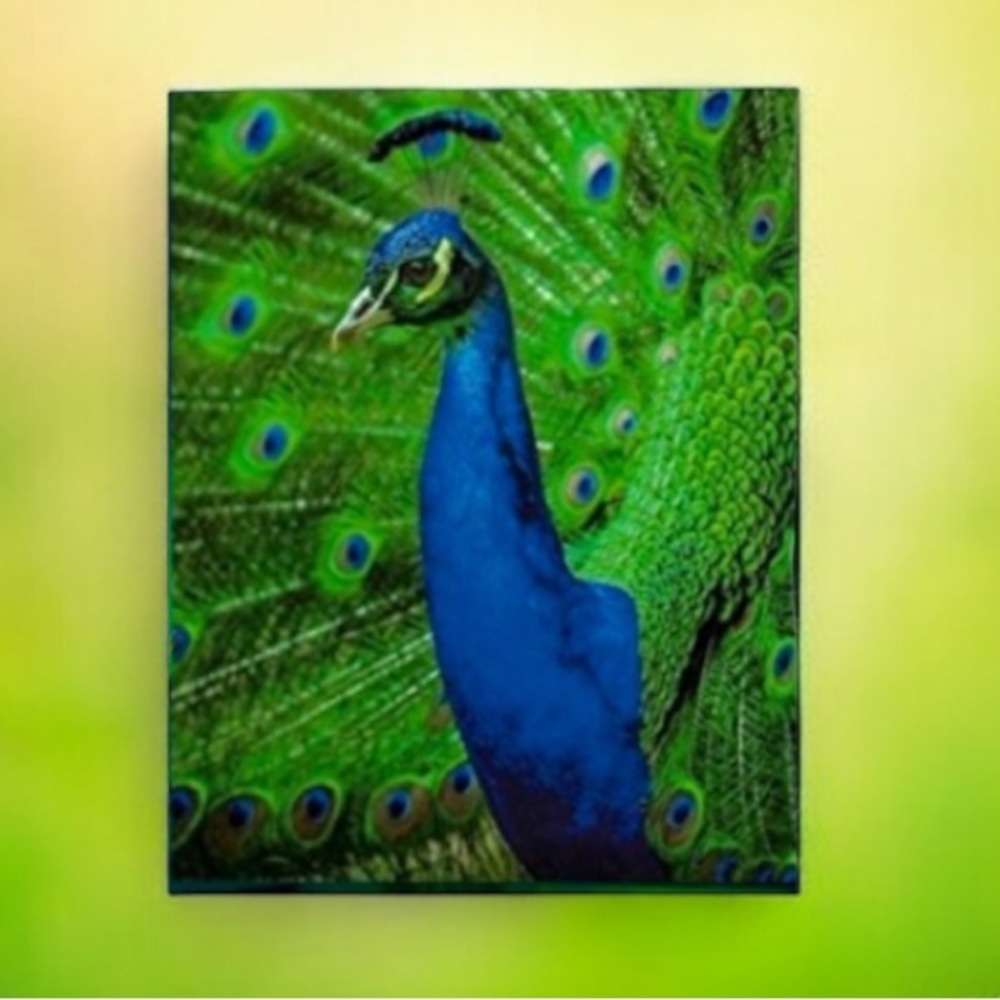 25 10X13 Poly Mailers Royal Peacock PRICE IS FIRM - Picture 4 of 13